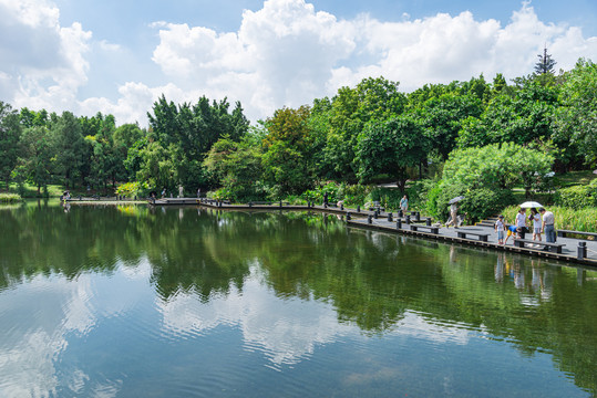 广州海珠湿地公园风景