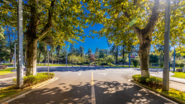 四川大学