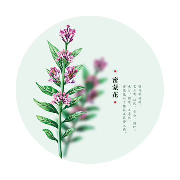 密蒙花