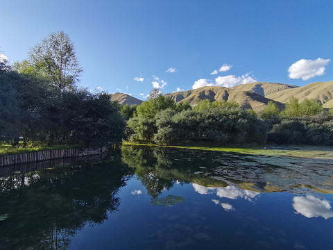 高原玉树风景