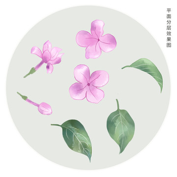 手绘丁香花