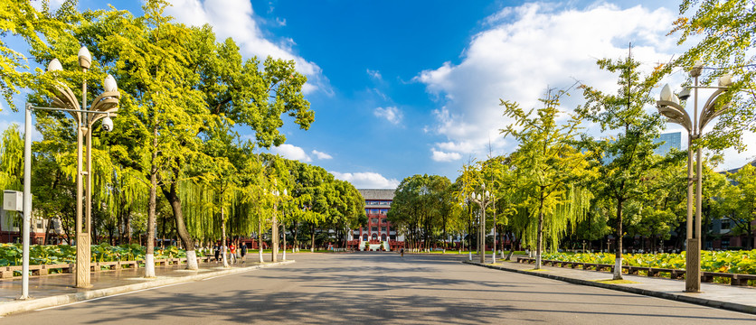 四川大学行政楼