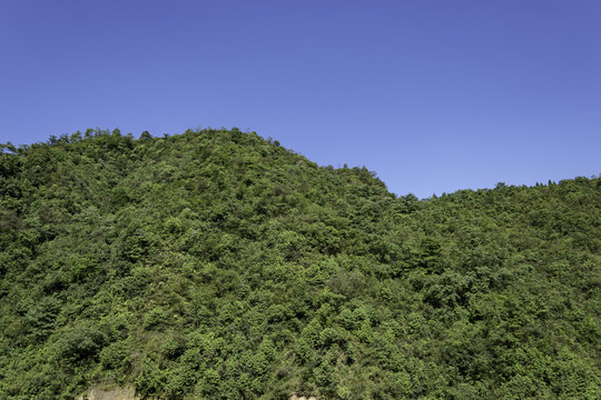 绿水青山