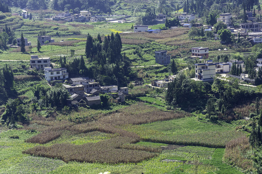 乡村风光