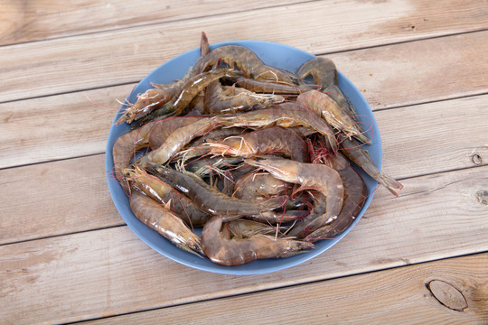 一盘新鲜的淡水虾食材放在桌子上