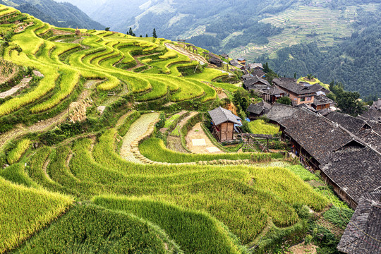 加榜梯田