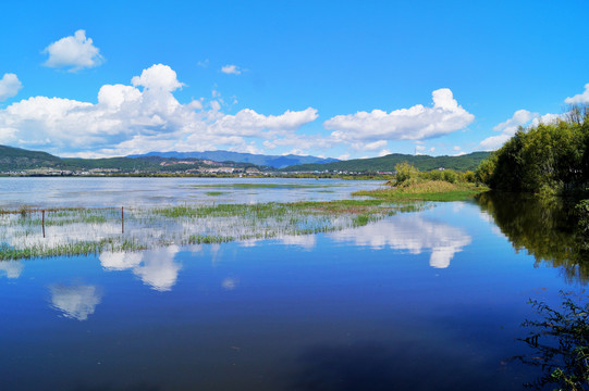 拉市海湿地公园