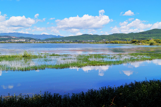 拉市海湿地公园