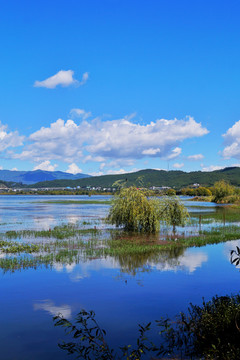 丽江拉市海湿地公园