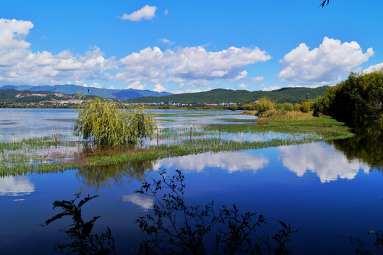 丽江拉市海湿地公园