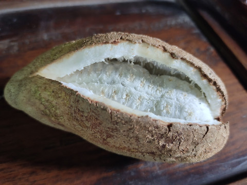 八月瓜