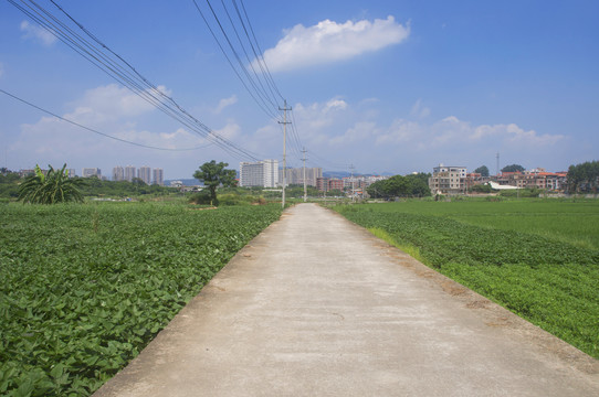 乡村水泥小路