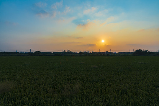 夕阳下的田野