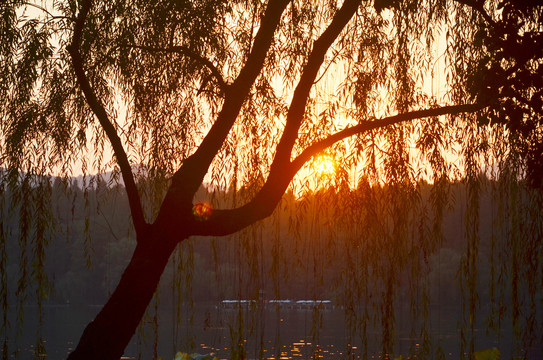 杭州西湖黄昏日落