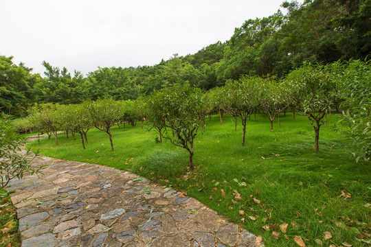 南宁青秀山风景区桃花岛园林景观