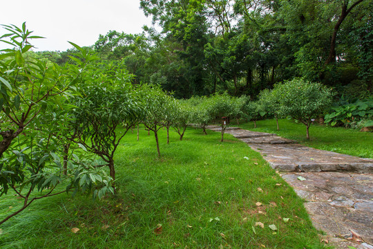 南宁青秀山风景区桃花岛园林景观