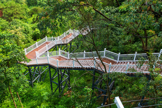 南宁青秀山景区栈道