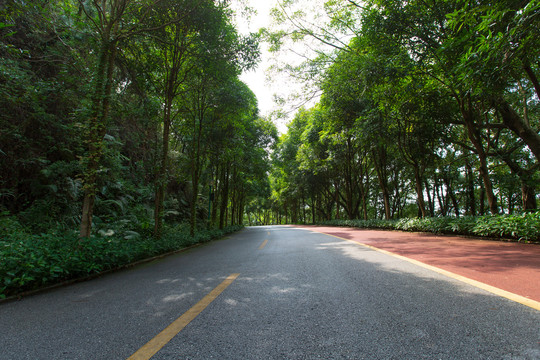 南宁青秀山风景区休闲步道