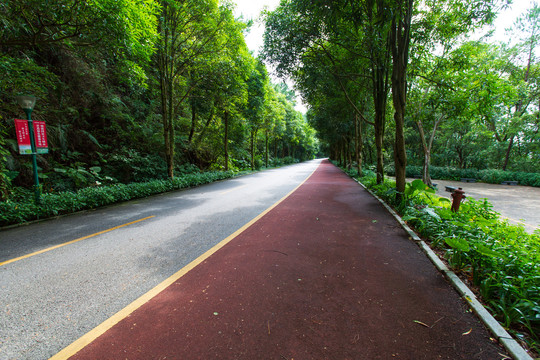 南宁青秀山风景区休闲步道