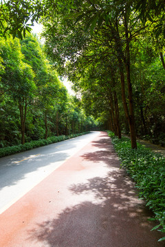 南宁青秀山风景区休闲步道