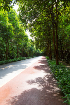 南宁青秀山风景区休闲步道