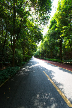 南宁青秀山风景区休闲步道