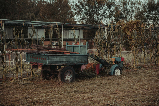 电影感玉米地的农用车