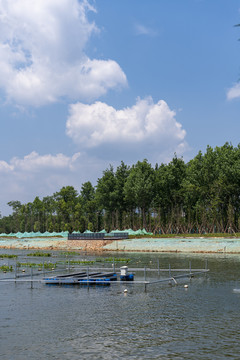 滇池草海