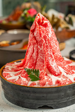 雪龙牛肉