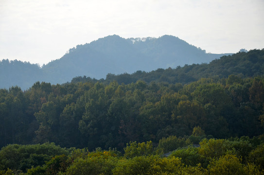 山峰树林