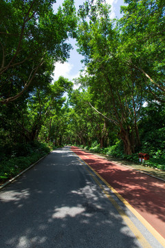 南宁青秀山风景区休闲步道