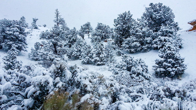 雪景雾凇