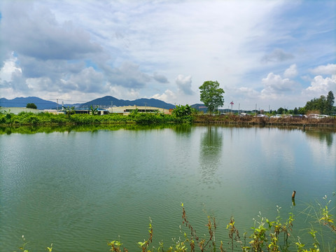 牛场餐厅