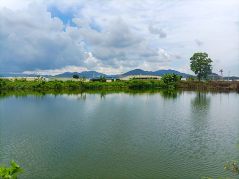 水塘边牛场餐厅