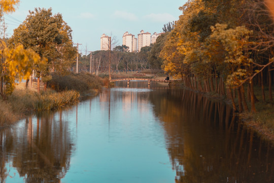 奉贤区河道