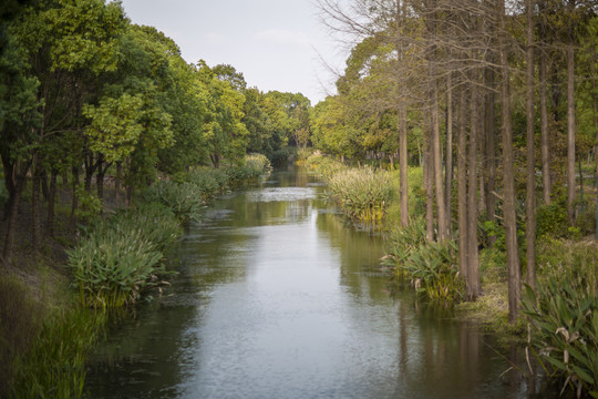 奉贤区河道
