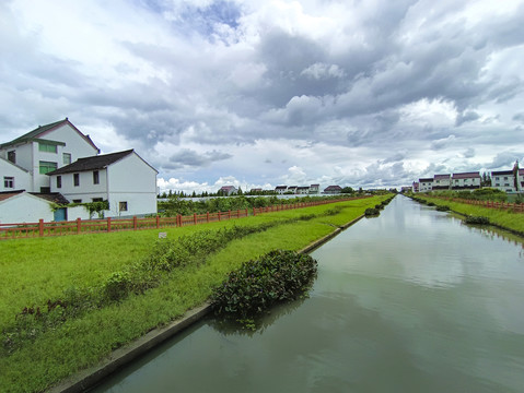 小河水岸菁菁