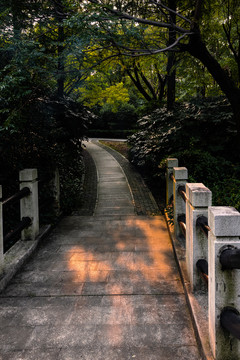 桥路