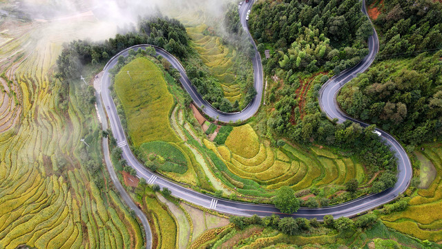 梯田云海秋景乡村公路高清素材