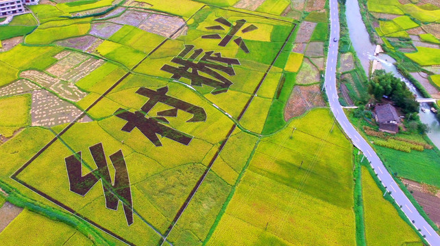 乡村振兴艺术稻田文化墙素材