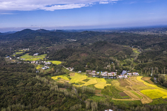 鸟瞰山村金色稻田