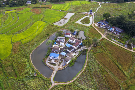 田野荷塘水塘围绕着的村庄