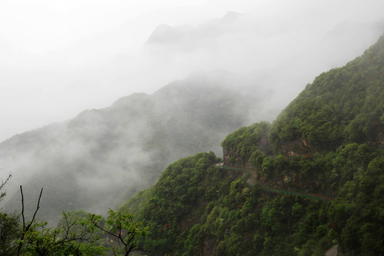 雨雾山道