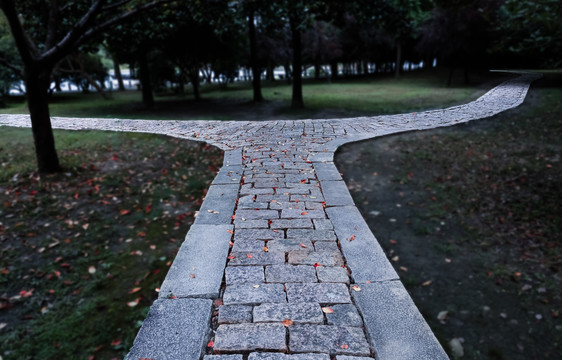 林间小道
