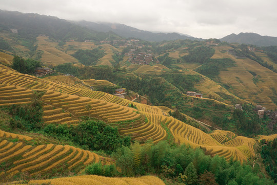 群山梯田