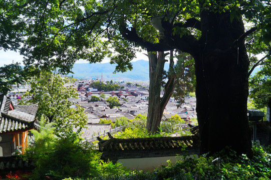 丽江古城全景