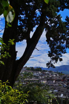 丽江古城全景