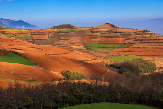 东川红土地七彩坡