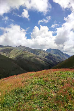 蓝天白云下的会泽乌蒙山风光