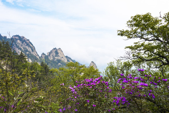 尧山云海